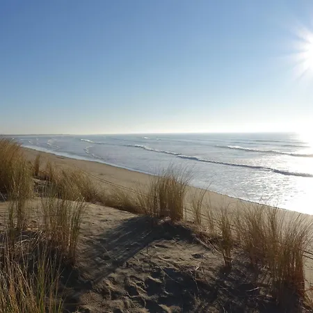 Holiday La Georgette By Interhome Ferienhaus Saint-Georges-d'Oleron